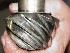 Pinion... Good?